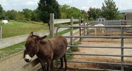 obrázek - Kelder's Farm