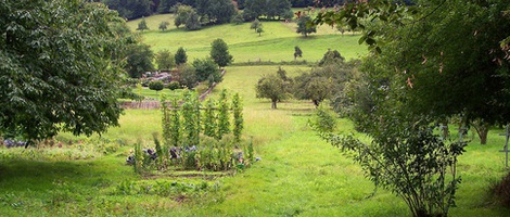 obrázek - Bad König