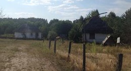 obrázek - Вільне. Парк Пашинського Періоду