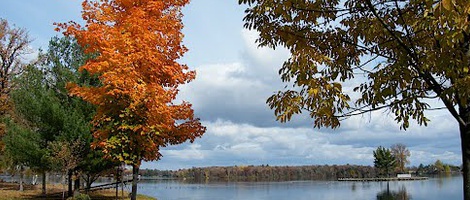 obrázek - Rice Lake