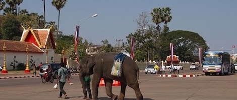 obrázek - That Phanom