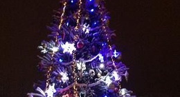 obrázek - Вишневский парковый комплекс