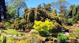 obrázek - Royal Botanic Garden