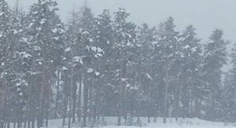 obrázek - Sarıkamış