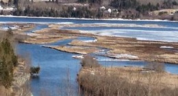 obrázek - Antigonish Landing