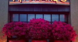 obrázek - P.F. Chang's