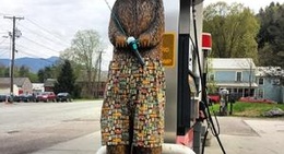 obrázek - Cambridge Village Market