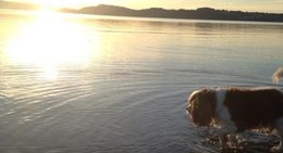 obrázek - Buvika beach