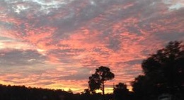 obrázek - Alachua, FL