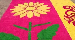 obrázek - Acaxochitlan