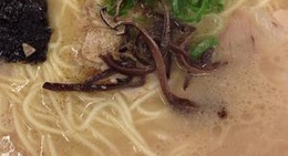 obrázek - 佐賀ラーメン 喰道楽 武雄店