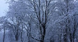 obrázek - Парк ім. Генерала Потапова