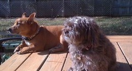 obrázek - Smoke House