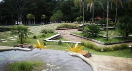 obrázek - Jardim Botânico