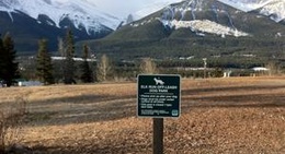 obrázek - Elk Run Dog Park