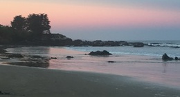 obrázek - Kaka Point Beach, Catlins