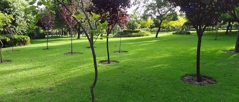 obrázek - Bow Bridge