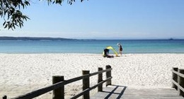 obrázek - Green Patch