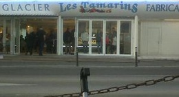 obrázek - Les Tamarins - Glacier fabricant