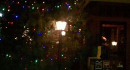 obrázek - A Pine Restaurant