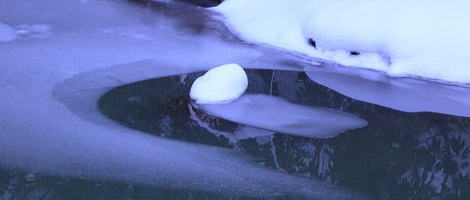 obrázek - Zonguldak