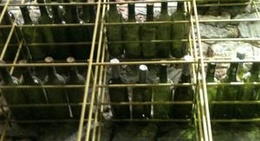 obrázek - Coppola Bar & Co