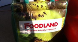 obrázek - Foodland