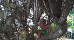 obrázek - Chrisama Restaurant