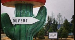 obrázek - Resto Tacos Lolitas