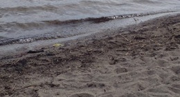 obrázek - Daniel Jonsa