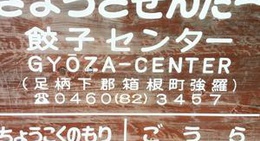 obrázek - Gyoza Center (箱根餃子センター)