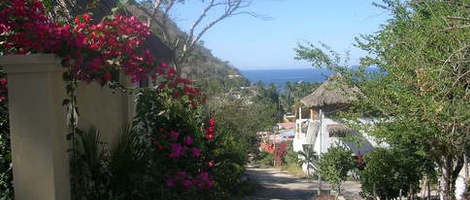 obrázek - La Manzanilla