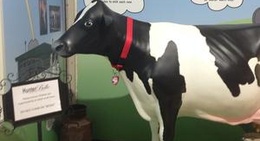 obrázek - Hunter Belle Cheese factory & Cafe