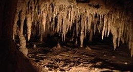 obrázek - Florida Caverns State Park
