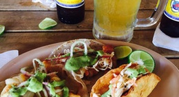 obrázek - Claros Fish Jr.