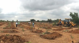 obrázek - #A1000TREES