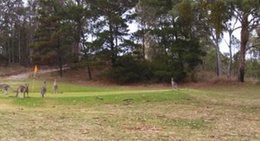 obrázek - Henbury Sports & Recreational Club