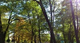 obrázek - Park im. ks. kard. Jasińskiego