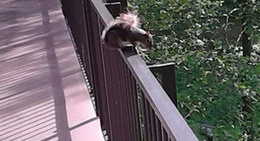 obrázek - Sandstone Arches Restaurant