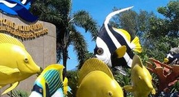 obrázek - Rayong Aquarium (สถานแสดงพันธุ์สัตว์น้ำระยอง)