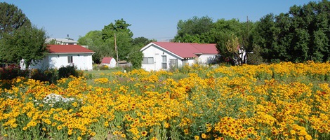 obrázek - Cedaredge