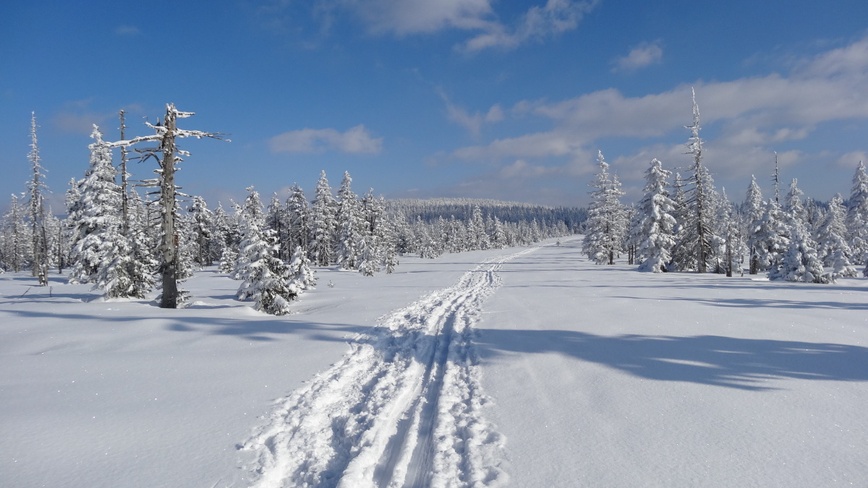 Chata/apartman Beldová - Na Szreniczu