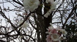 obrázek - 生谷温泉 伊沢の里