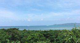 obrázek - 宮良農園フルーツパーラー