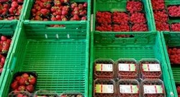 obrázek - Rema 1000