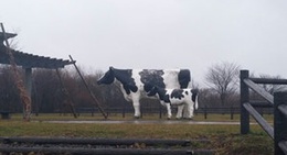 obrázek - 遊楽部公園