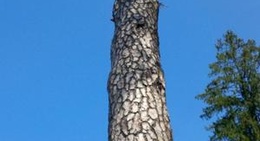 obrázek - Étang de Ponty