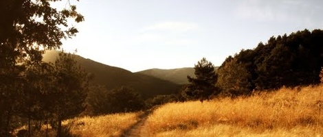 obrázek - Miraflores de la Sierra