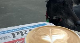 obrázek - Steviez Cafe