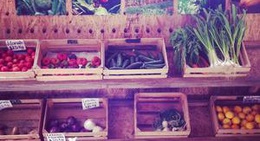 obrázek - La Flor De La Calabaza